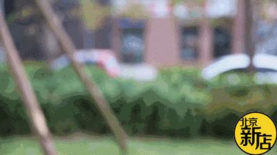 星巴克圣诞节限定一年又一年,星巴克限量版杯子圣诞节