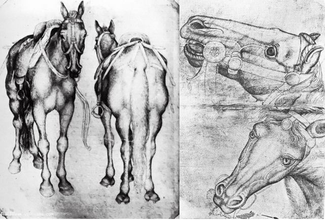 西方的纪念章,西方顶级纪念章