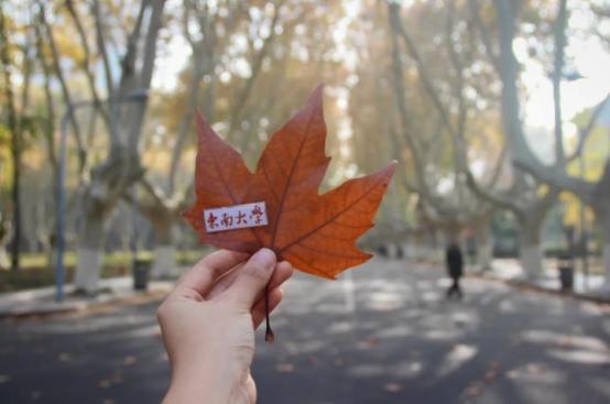 这所“魔法学校”火了!百年底蕴加持,走出200余位院士、多部影视剧来取景