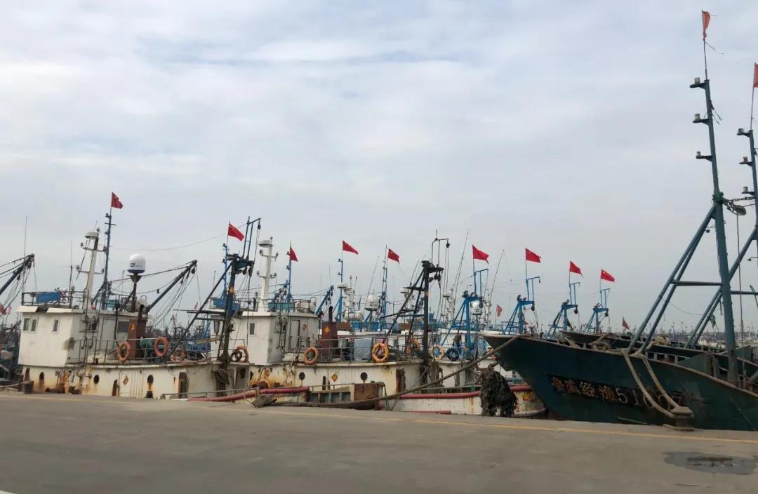 威海100元一斤的海鲜,六月份威海海鲜价格