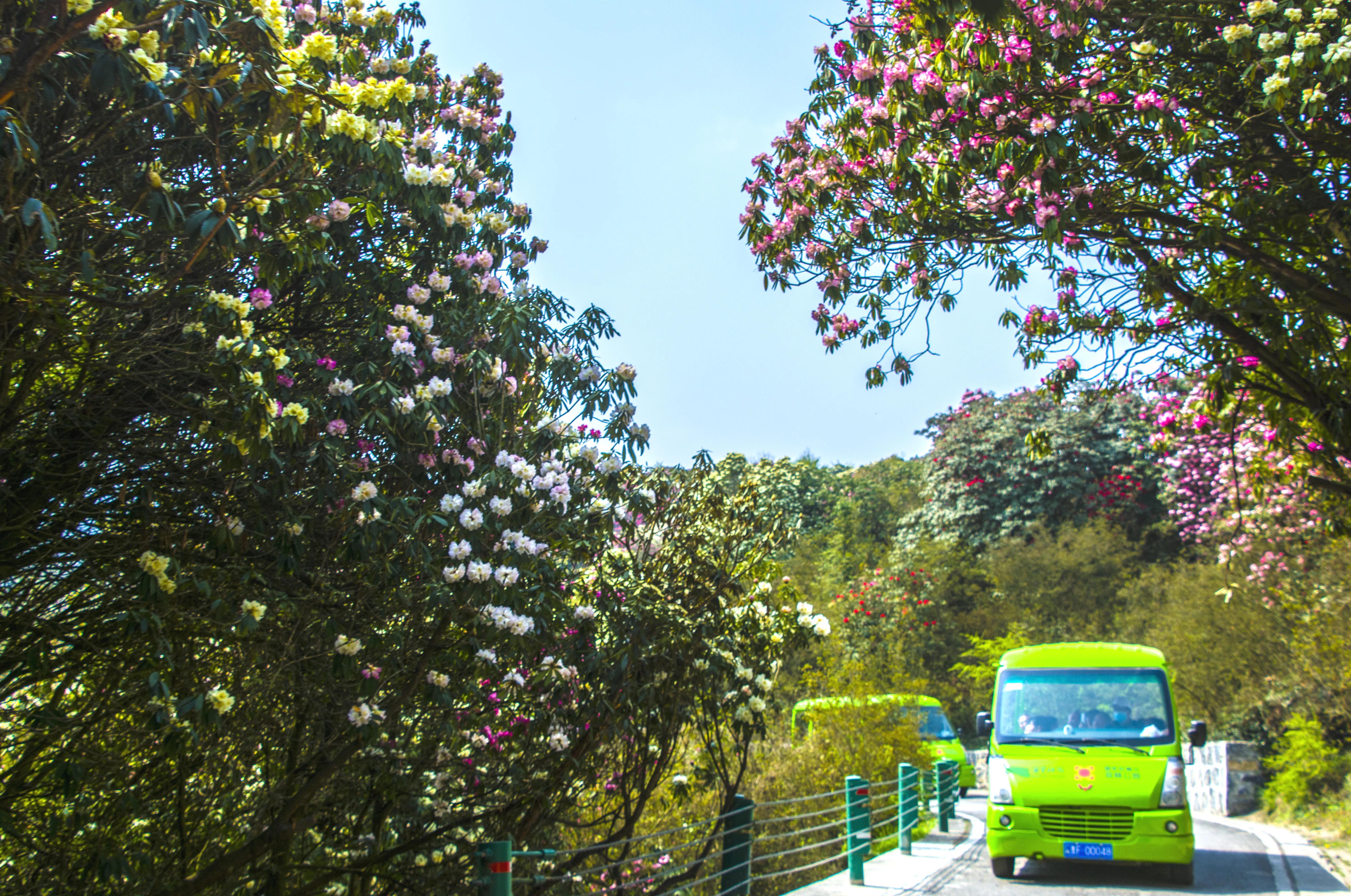 贵州大学1984级管科系同学欢聚毕节录