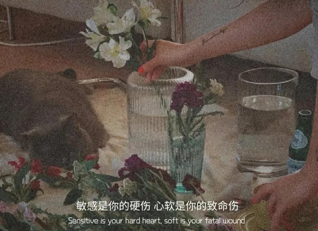 文案背景‖一直陪着我吧，无论什么身份