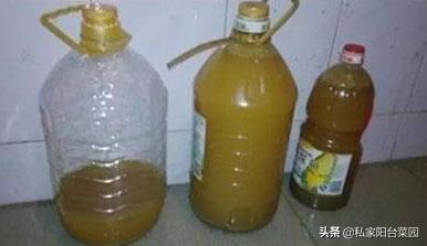 冬天豆渣沤肥的正确方法,冬季家庭厨余沤肥新方法