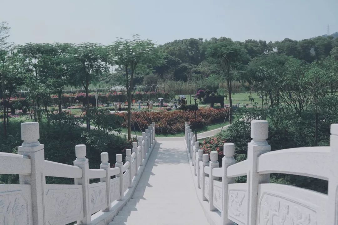 人少还免门票！深圳这片5000000㎡新公园美翻了，“神仙花谷”