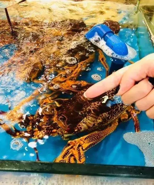 广州十大最好的海鲜餐厅,广州附近海鲜最便宜的地方