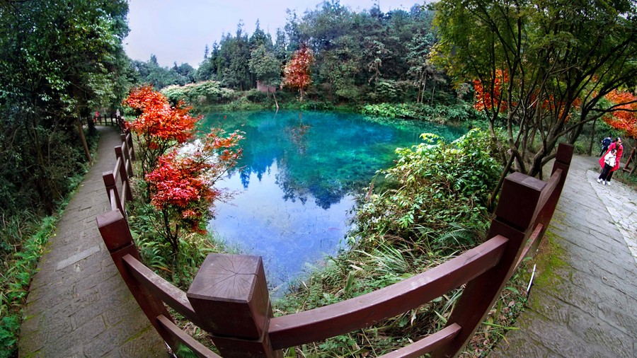 九仙温泉别墅酒店,重庆武隆商务楼酒店