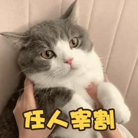 速抢！淮南雅迪免费领头盔，还有超值惊喜特价车型限时抢...