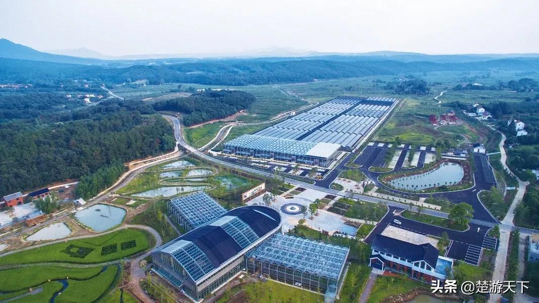 湖北景点应届毕业生免费有哪些,应届毕业生可以免费去哪些景区