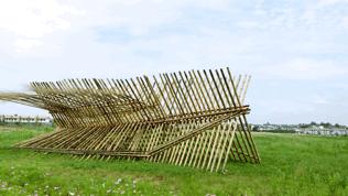 双流哪里可以赏花看飞机,双流附近赏花攻略路线