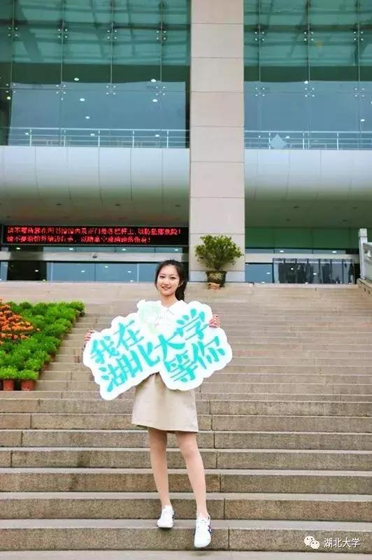 高考志愿湖北大学,高考志愿填报湖北大学