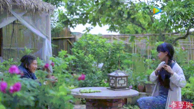 看了李子柒的视频的感受,看完李子柒后的感受