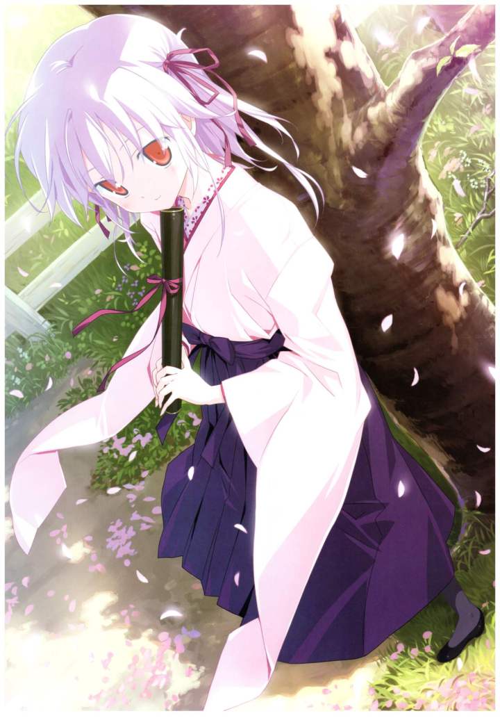 Boin之极意——八宝备仁