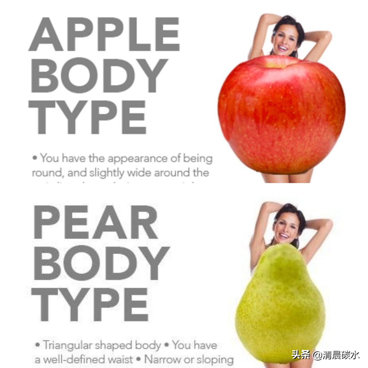 臀腿和腹部怎么减脂有效,臀腿脂肪怎么减最快