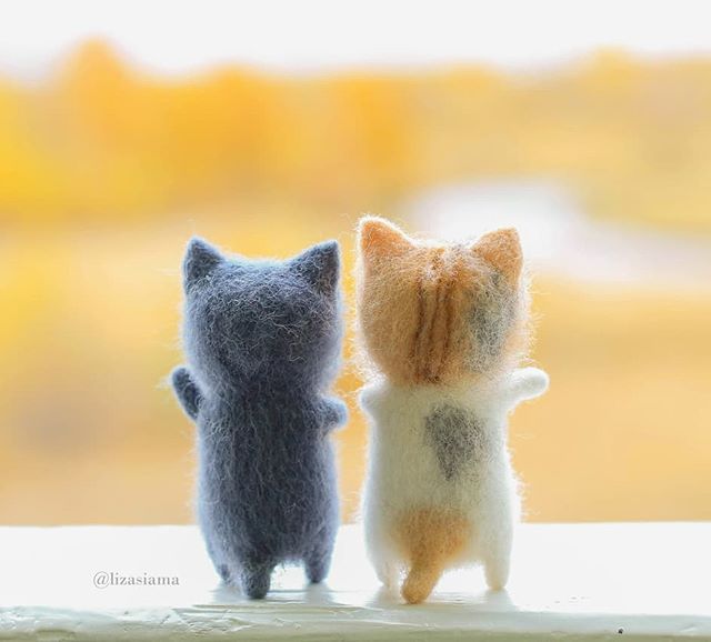 用羊毛毡做了很多小猫跟真的一样,用猫做羊毛毡