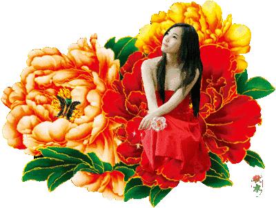 送给群友的美图,最新群相册大全