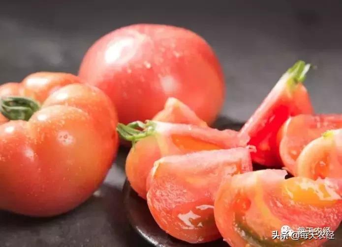 广州秋季番茄病害怎么防治,番茄常见病害防治方法