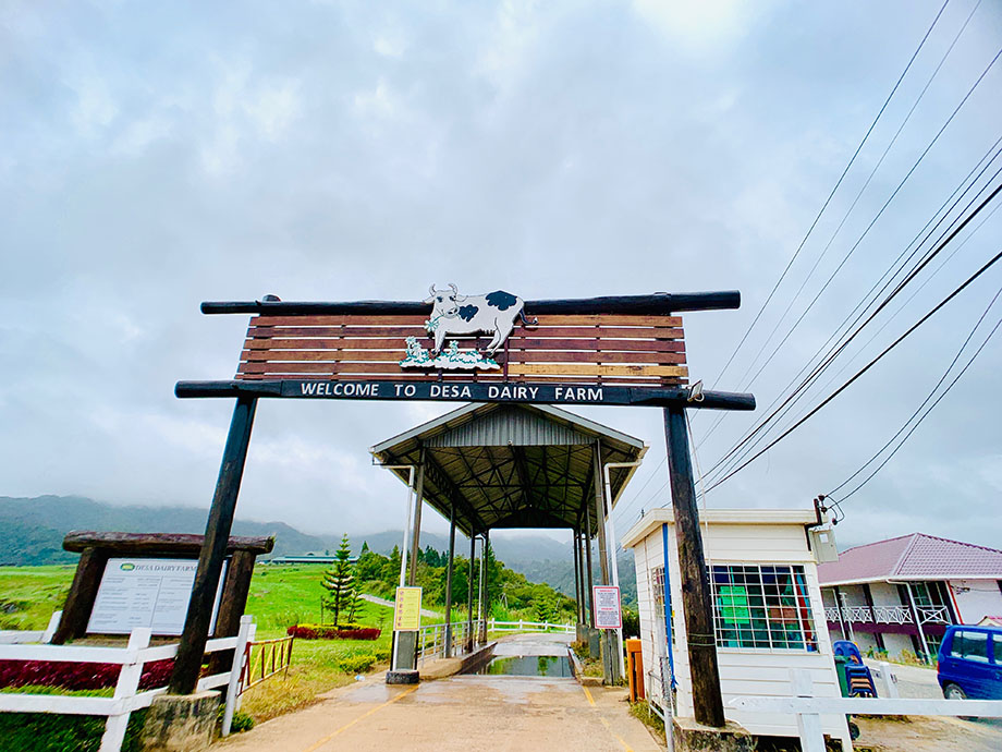 沙巴攻略详细介绍 (沙巴8天攻略)