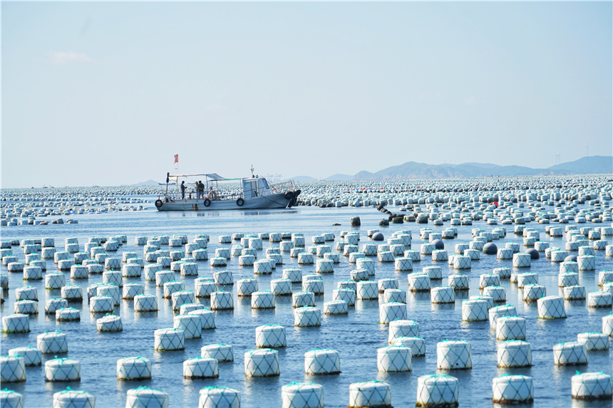 嵊泗东海渔村看日出攻略,嵊泗列岛纯海慢生活三日游