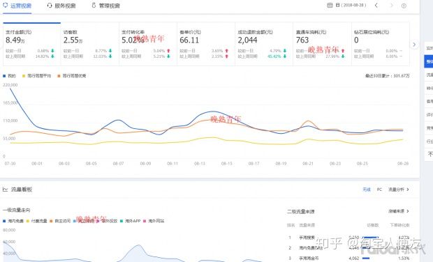 百万级标品类目店铺开车模式：单月急速打造爆款