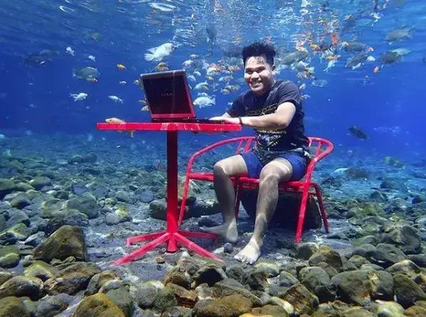 乡下小池塘,乡村里面的小池塘