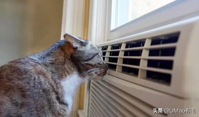 做好这几点远离呼吸道疾病,做好这八点让你轻松管理