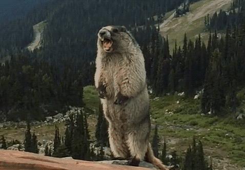 绵阳云锣山青龙峡漂流直播,云锣山青龙峡漂流攻略