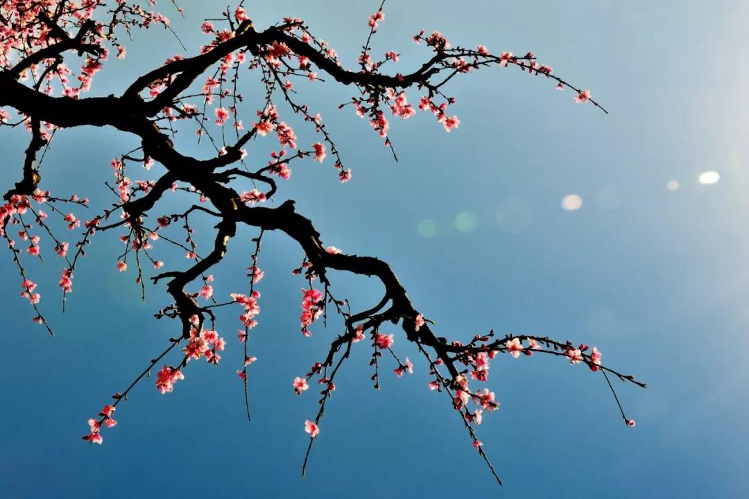 四书五经修身养性齐家治国平天下,四书五经中的励志名句