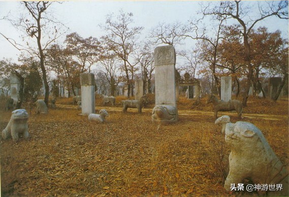 曲阜孔林游记,曲阜孔林