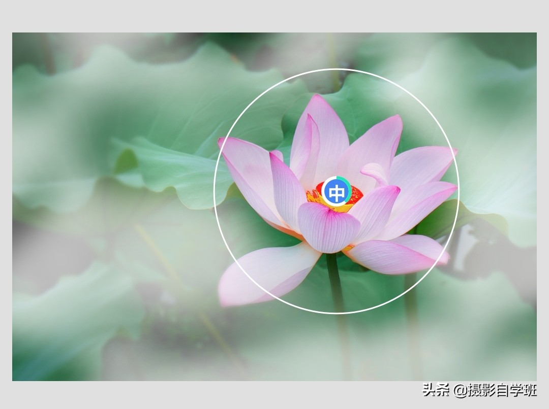 雾里看花怎么拍,雾景的拍摄技巧拍出雾气朦胧大片