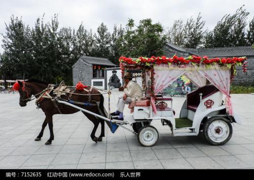 小马拉大车的日本电影,小马拉大车真人