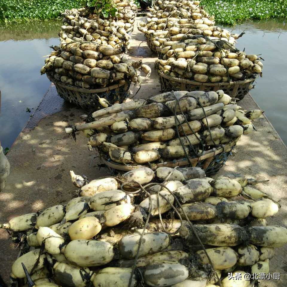 全国哪里莲藕最多最便宜,全国最好的莲藕品种粉藕