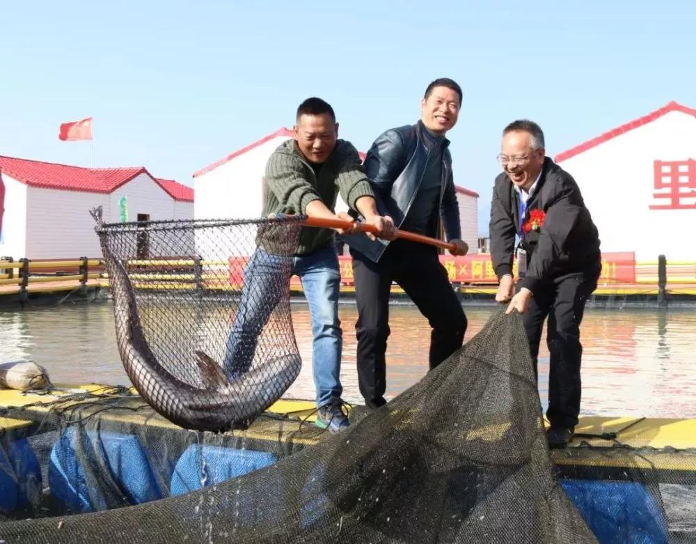 福建霞浦县：立足特色，培育品牌，农特产品插上电商之翼