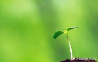 疫情当下担心父母,怎么缓解疫情期恐惧症