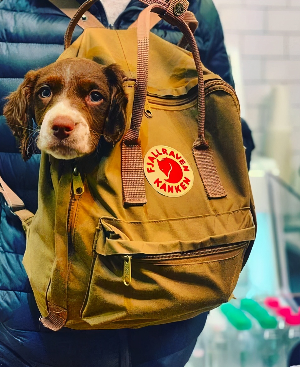 什么牌子的双肩包结实好看又实惠,推荐几款值得买的双肩包