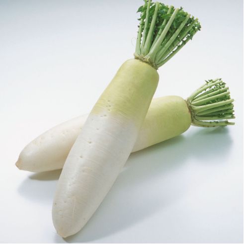 雾霾天跑步训练,雾霾天做什么运动