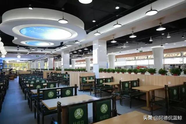 南中医怎么样,南中医专业