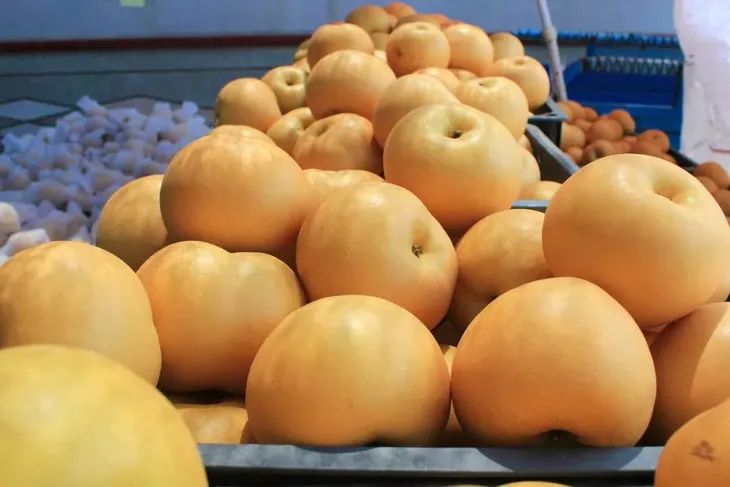 梨子界中的“扛把子”，越低调越红！咬一口就爆汁，一水的甜呀