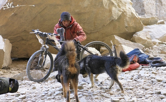 杭州母亲为了保护孩子不被狗狗打,杭州母亲护子遭狗主人暴打