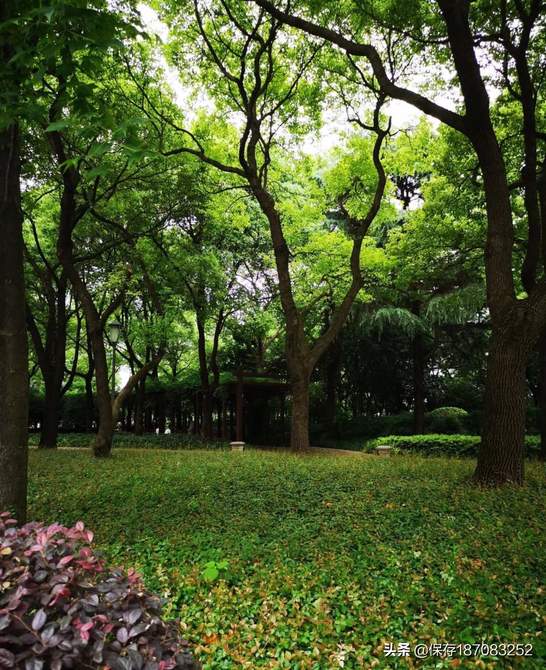 上海黄浦公园潮汐表下载,上海黄浦公园