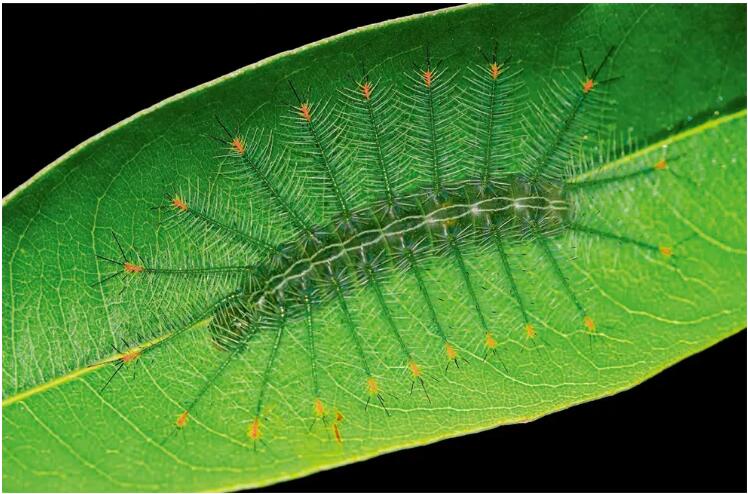 程斌摄影师,程斌摄影师作品