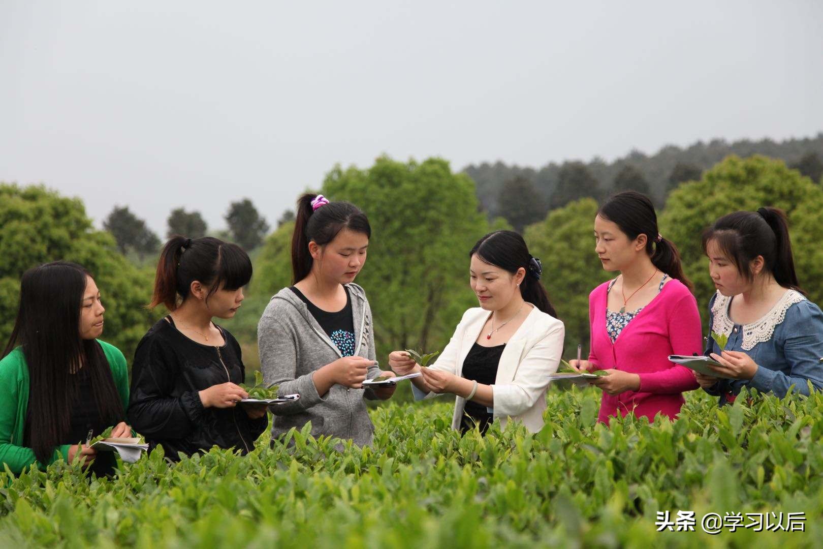 “农学”专业持续爆冷，即使985大学也不能幸免，主要有这3个原因