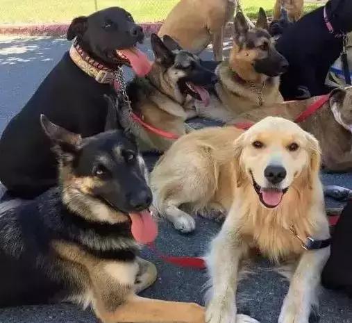 平时瓶盖都拧不开的小女生,平时拧不开瓶盖的女孩原视频