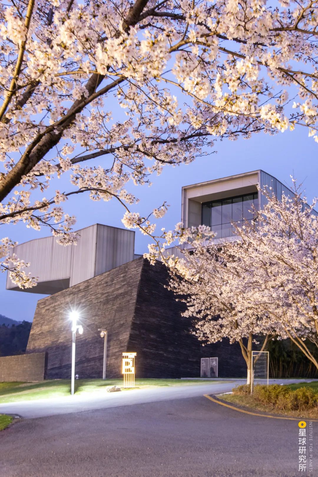 南京为什么叫金陵,我是南京