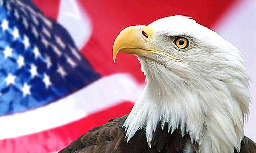 全球10大图腾,中国100个姓氏图腾