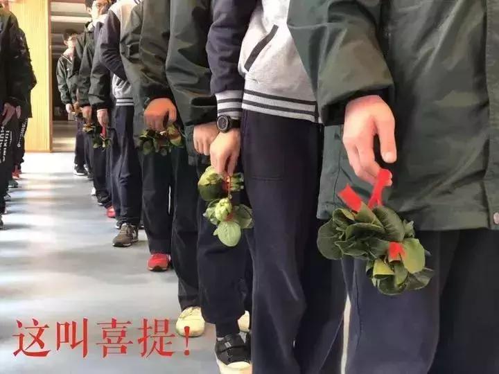 期末奖品搞笑,期末奖状称号搞怪