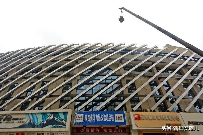 西安幸福林带绿化招标中标公告,西安幸福林带两边拆迁最新规划