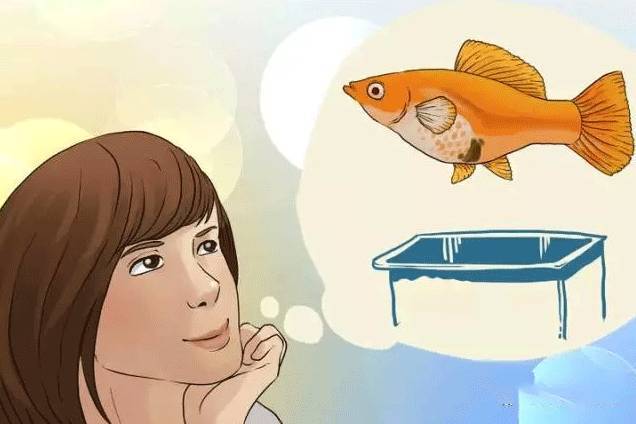 怎么判断鱼怀孕还是腹水,鱼肚子大了怎么判断怀孕