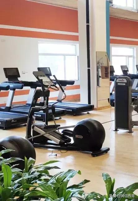 体操王子李宁走进天津西青——西青区全民健身运动会倒计时100天暨天津西青李宁运动中心开园活动举行