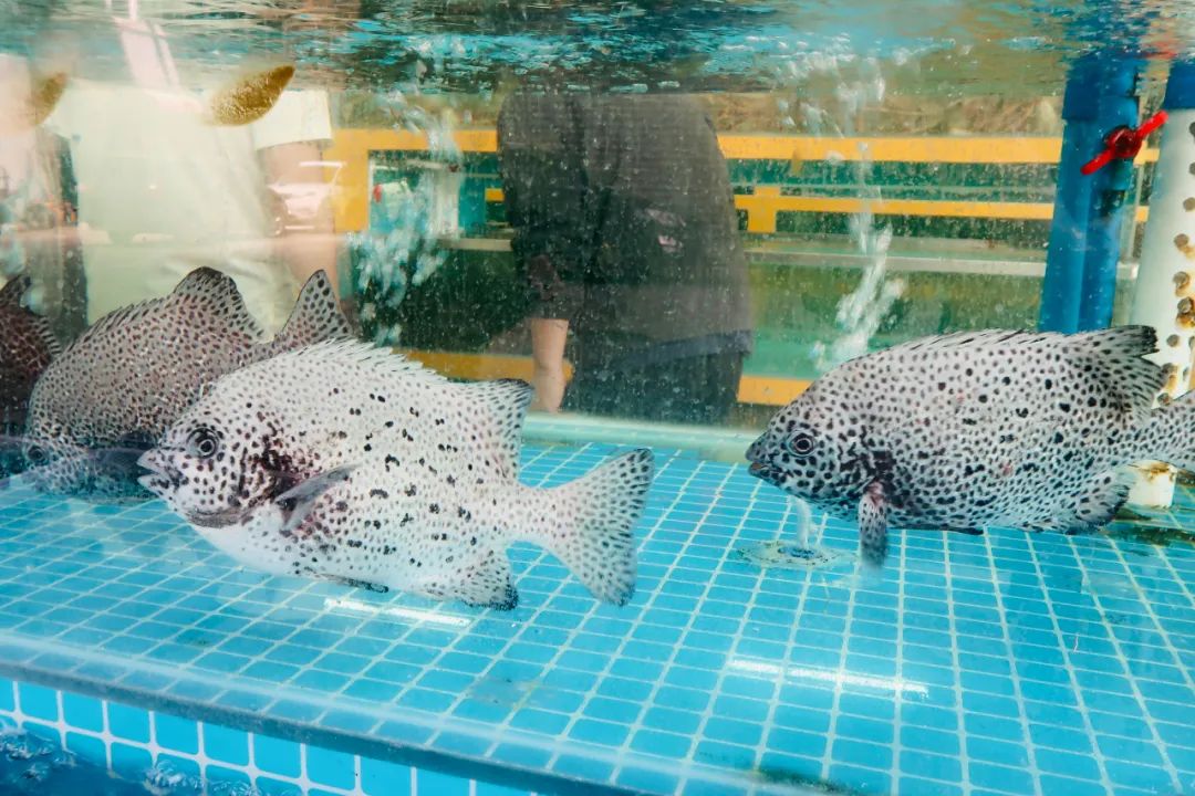 西安凌晨才营业的批发市场,西安哪里批发市场最便宜