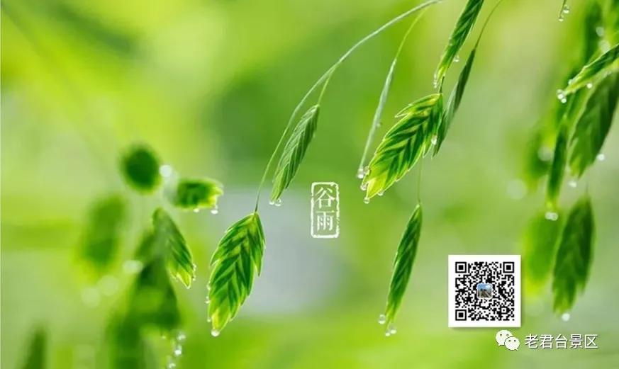 二十四节气谷雨祝福语,二十四节气谷雨的由来